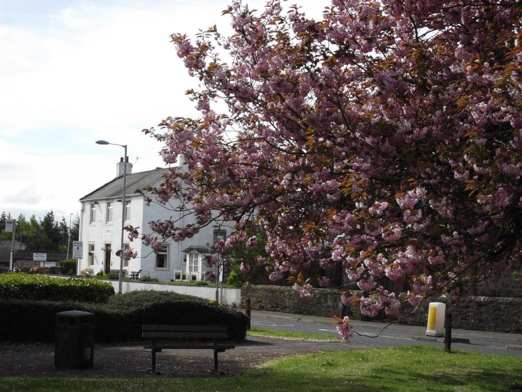 Kirkcroft Guest House Gretna Green Εξωτερικό φωτογραφία